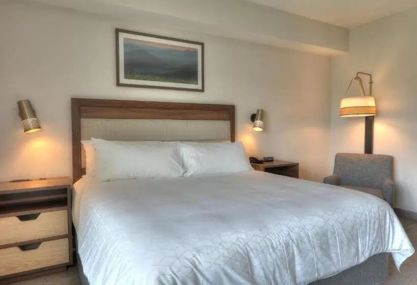 身障者適用スタンダードルーム, Holiday Inn & Suites Pigeon Forge Convention Center, An Ihg