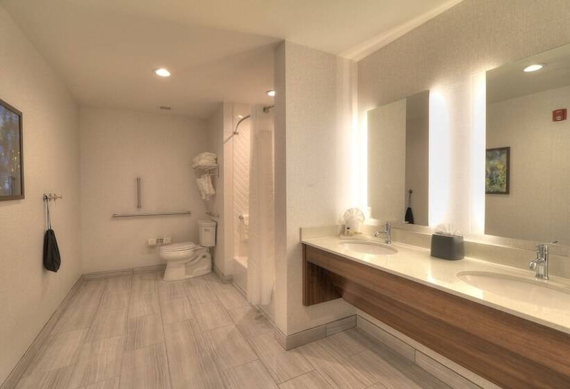 اتاق استاندارد, Holiday Inn & Suites Pigeon Forge Convention Center, An Ihg