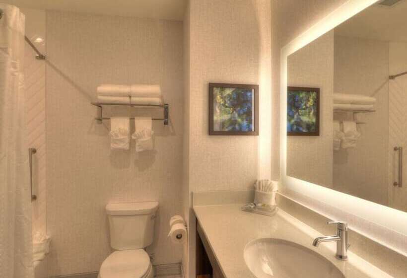 标准间, Holiday Inn & Suites Pigeon Forge Convention Center, An Ihg