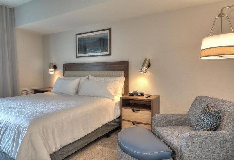 اتاق استاندارد, Holiday Inn & Suites Pigeon Forge Convention Center, An Ihg