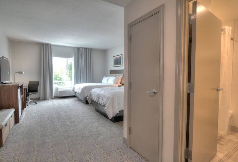 اتاق استاندارد با 2 تخت دوبل, Holiday Inn & Suites Pigeon Forge Convention Center, An Ihg