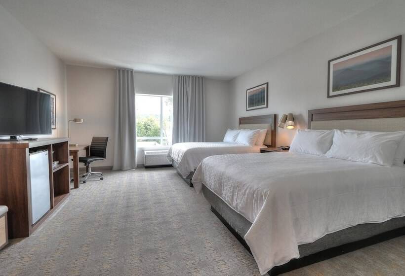 اتاق استاندارد با 2 تخت دوبل, Holiday Inn & Suites Pigeon Forge Convention Center, An Ihg