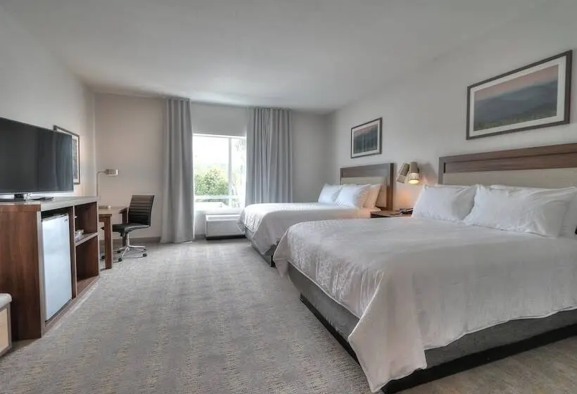 2ダブルベッドのスタンダードルーム, Holiday Inn & Suites Pigeon Forge Convention Center, An Ihg