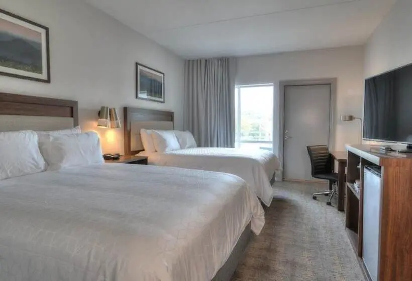 景色の見えるスイートルーム, Holiday Inn & Suites Pigeon Forge Convention Center, An Ihg