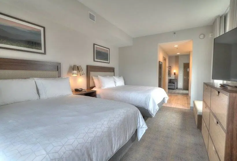 景色の見えるスイートルーム, Holiday Inn & Suites Pigeon Forge Convention Center, An Ihg