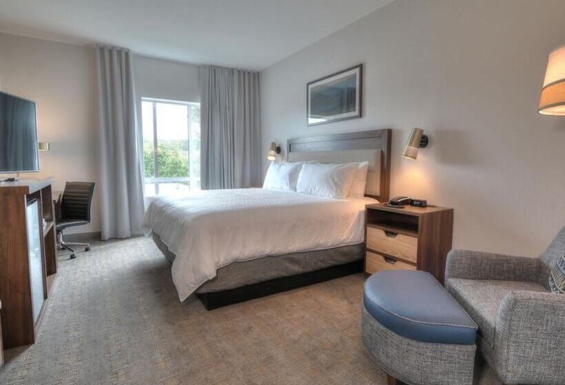 标准间, Holiday Inn & Suites Pigeon Forge Convention Center, An Ihg