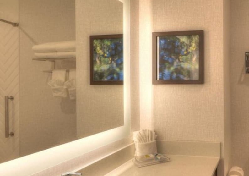 سوئیت با چشمانداز رودخانه, Holiday Inn & Suites Pigeon Forge Convention Center, An Ihg