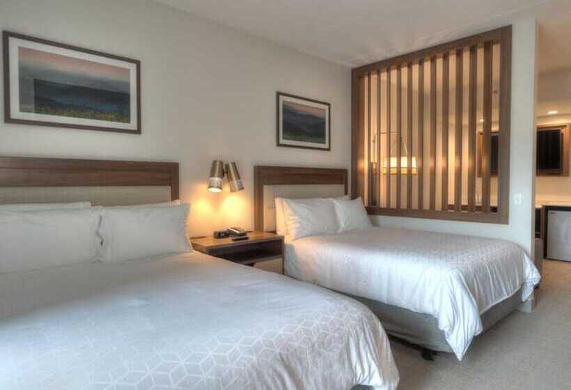 سوئیت با چشمانداز رودخانه, Holiday Inn & Suites Pigeon Forge Convention Center, An Ihg