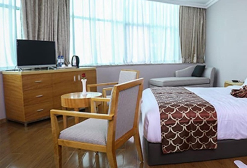 اتاق استاندارد, New Day