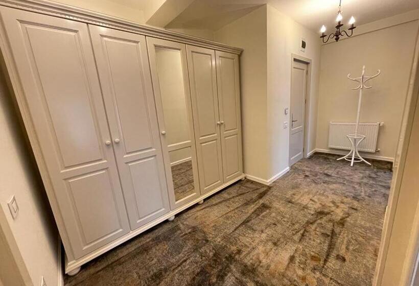 带1个卧室的公寓, Mountain View Ceahlau