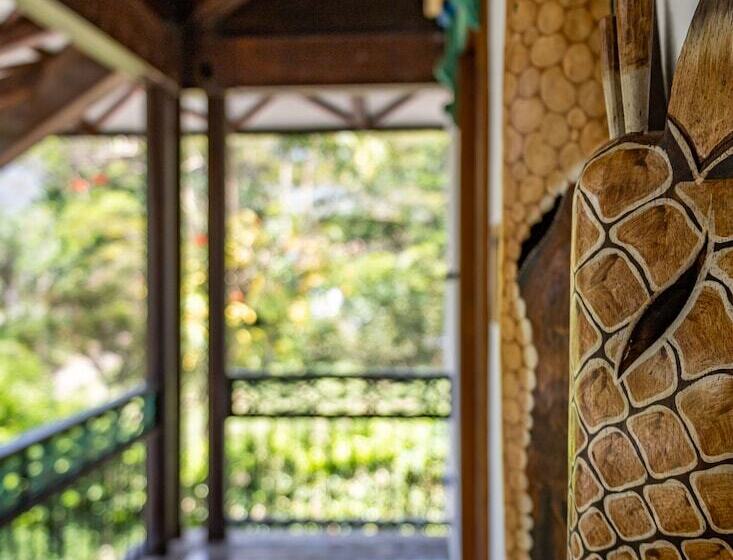 Номер Deluxe с Балконом, Casa Jacaranda Hotel Boutique