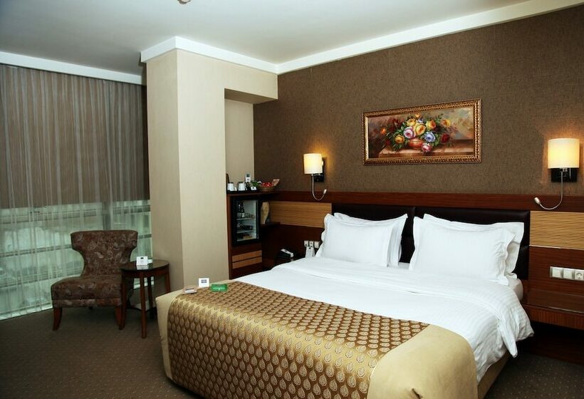 غرفة قياسية, Armi̇s