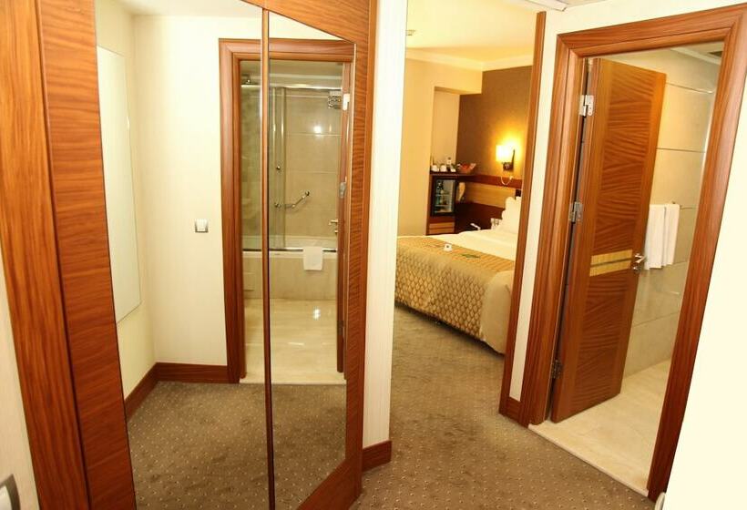 اتاق استاندارد, Armi̇s