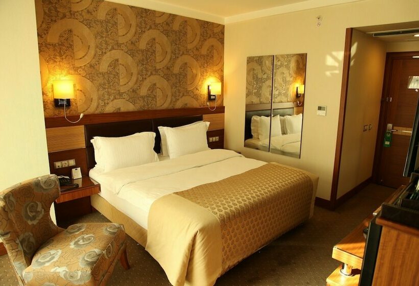 غرفة قياسية, Armi̇s