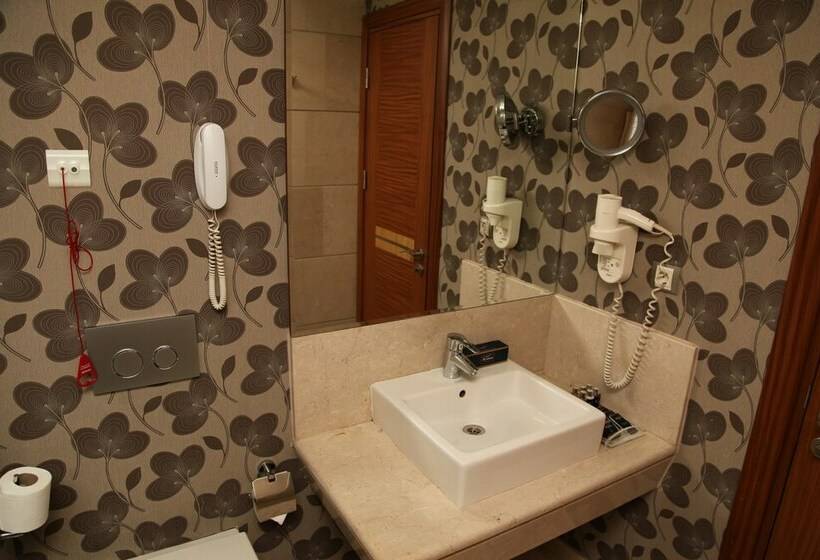 غرفة قياسية, Armi̇s