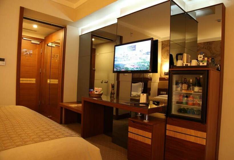 غرفة قياسية, Armi̇s