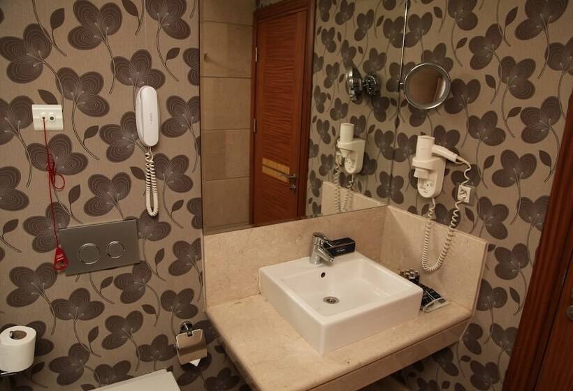 غرفة قياسية ثلاثية, Armi̇s