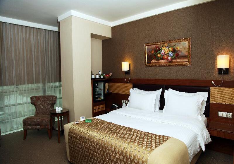 غرفة قياسية, Armi̇s