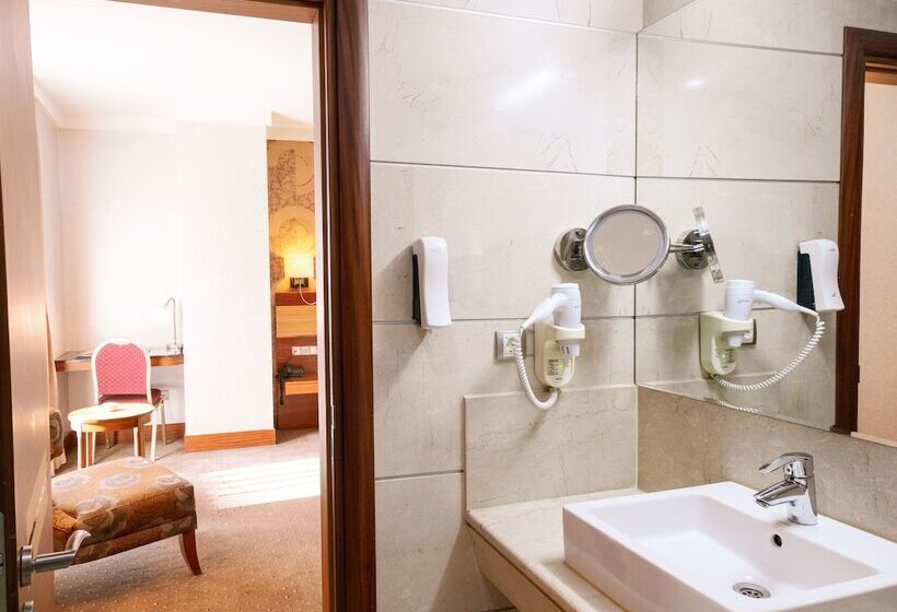 غرفة قياسية, Armi̇s