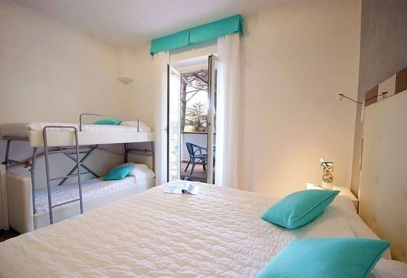 高级大房间, Brigantino