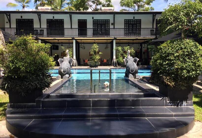 קוטג'' סופריור, Flower Garden