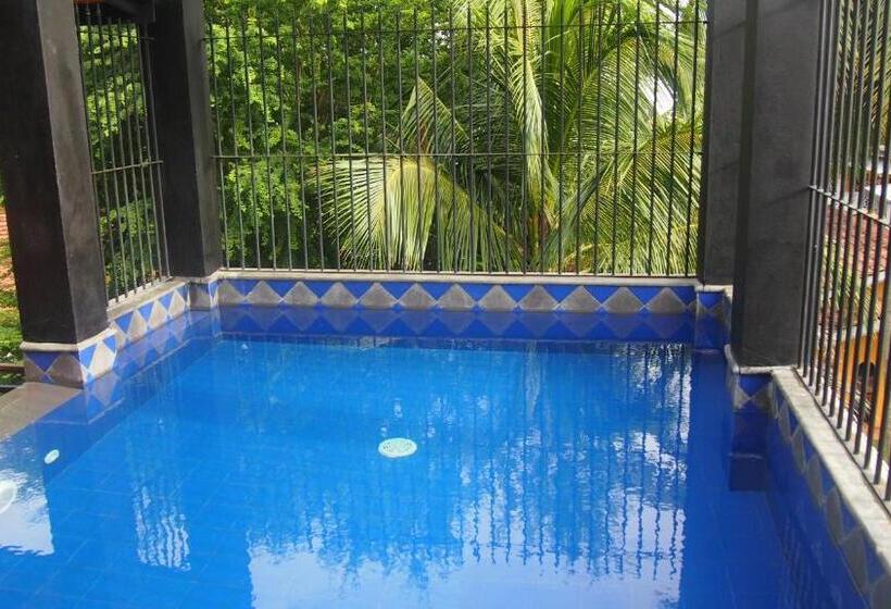 סוויטת פנטהאוז, Flower Garden