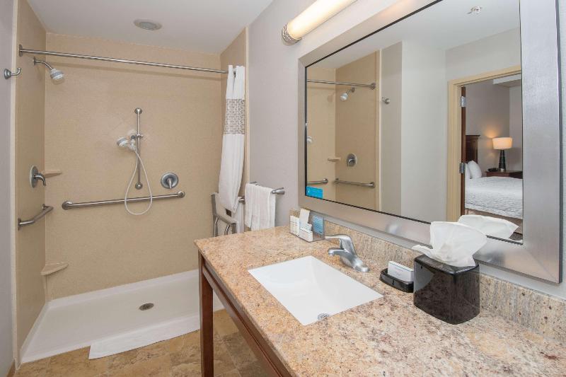 استودیو استاندارد با تخت کینگ, Hampton Inn & Suites Selma San Antonio Randolph Afb Texas