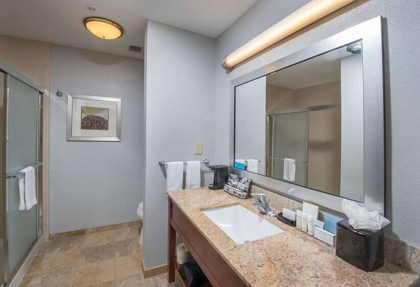 اتاق استاندارد, Hampton Inn & Suites Selma San Antonio Randolph Afb Texas