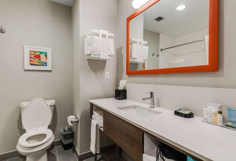 اتاق استاندارد, Hampton Inn & Suites Selma San Antonio Randolph Afb Texas