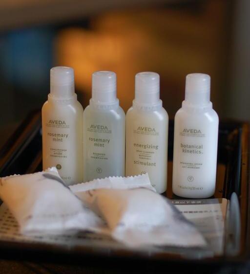 اتاق استاندارد چهار تخته, Rsl Cold & Hot Springs Resort Suao