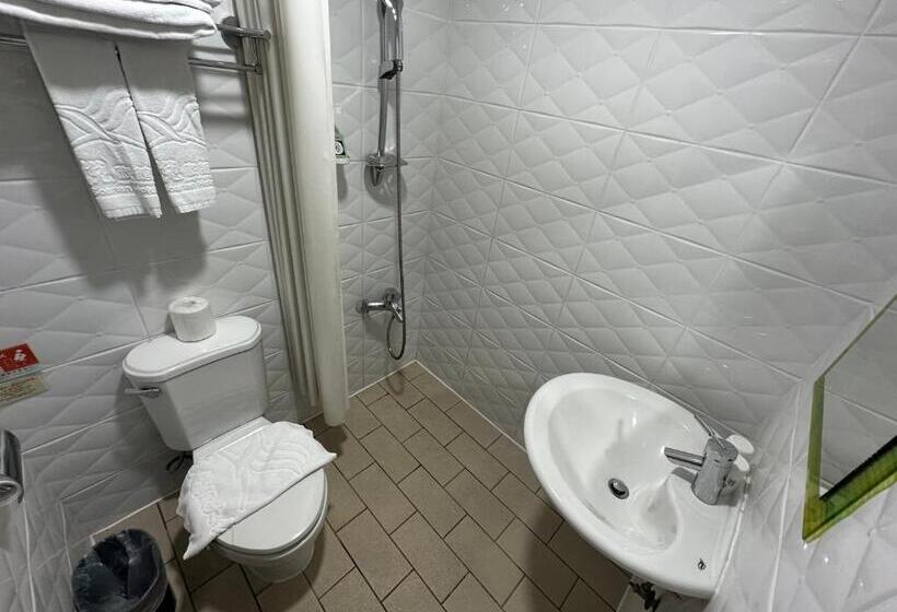 اتاق استاندارد, Young Soarlan Hotel Tainan