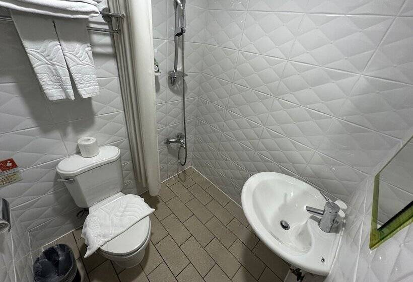 اتاق استاندارد, Young Soarlan Hotel Tainan