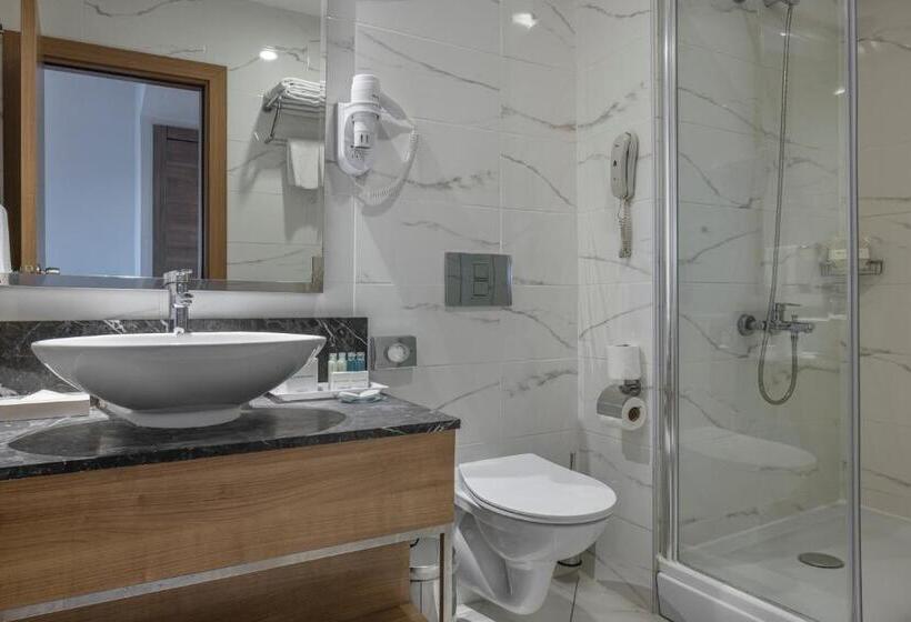 اتاق استاندارد, Wyndham Garden Lara