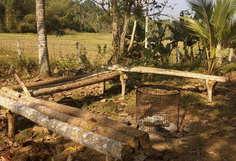 豪华工作室, Silver Oak By Exuberance Stays