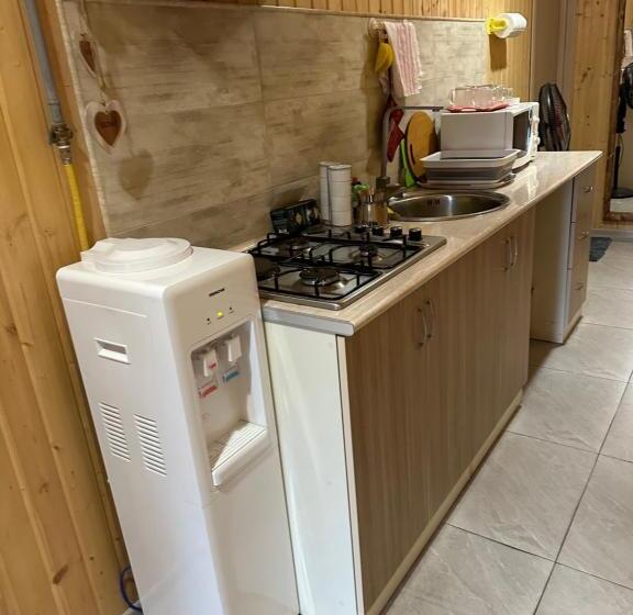 이코노미 룸, Dom Adonis