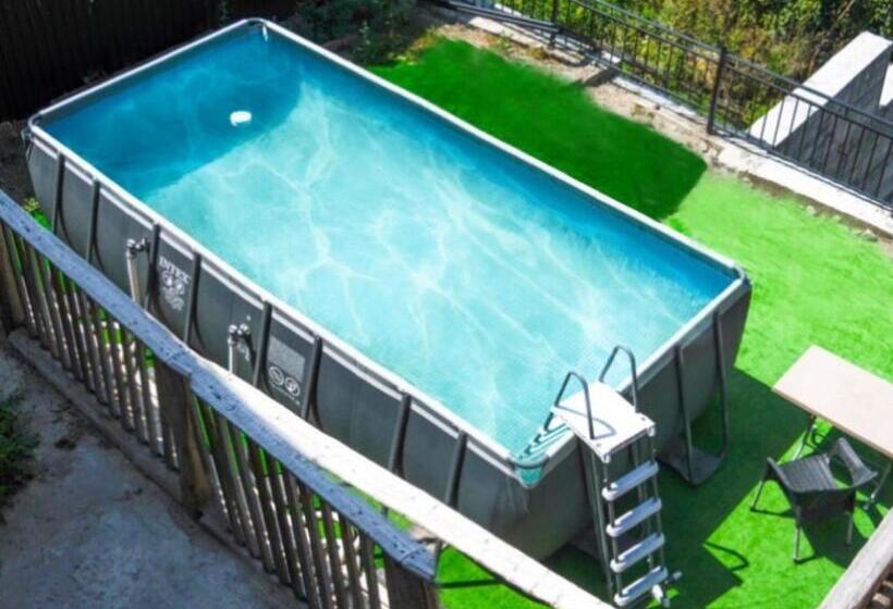 이코노미 룸, Dom Adonis