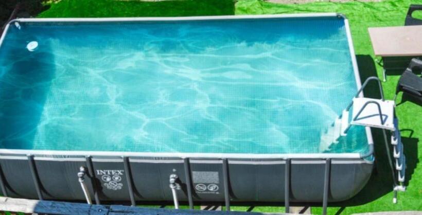 이코노미 룸, Dom Adonis