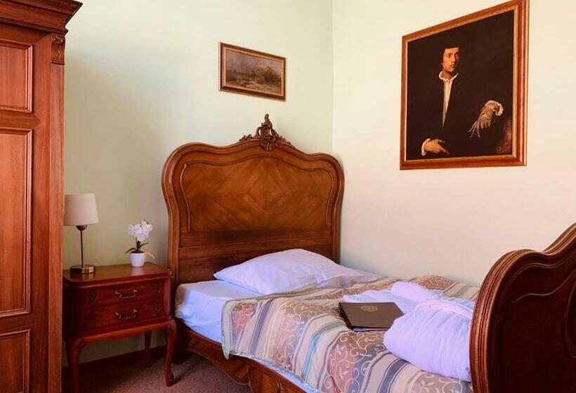 חדר דלוקס יחיד, Wellness Hotel Rezidence