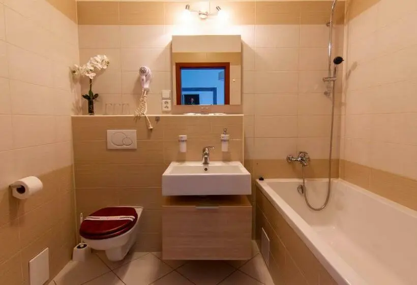 デラックスルーム, Wellness Hotel Rezidence