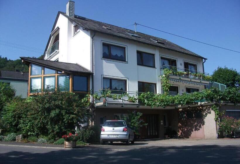 Апартаменты 1 Спальня с Видом, Appart Pension Schier