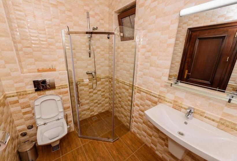 Номер Стандарт с Балконом, Pensiunea Alex & Restaurant