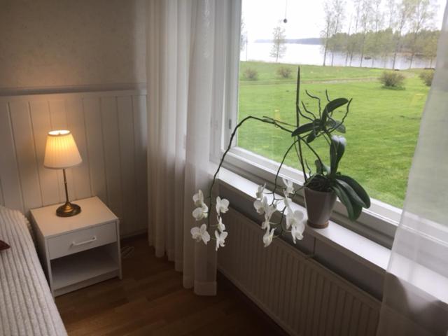 Номер Стандарт Вид на Озеро, Lomatila Ollila Farm Stay