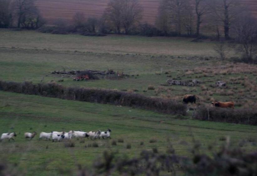 غرفة قياسية, Grootgenoegen