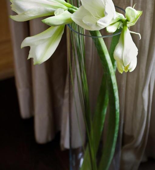 جناح, Casa Montani