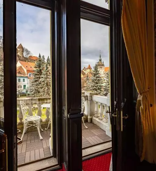 景色の見えるデラックスルーム, Central Park Sighisoara