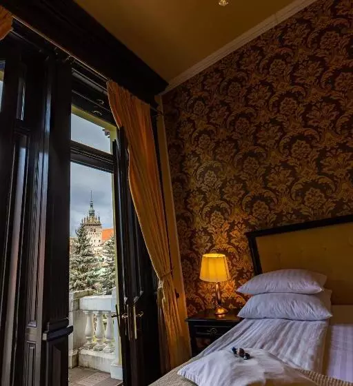 景色の見えるデラックスルーム, Central Park Sighisoara