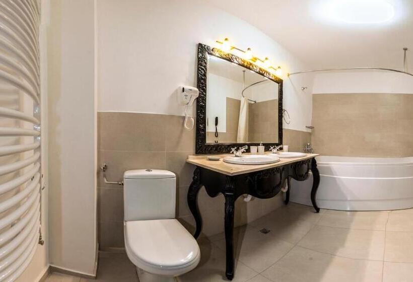 景色の見えるデラックスルーム, Central Park Sighisoara