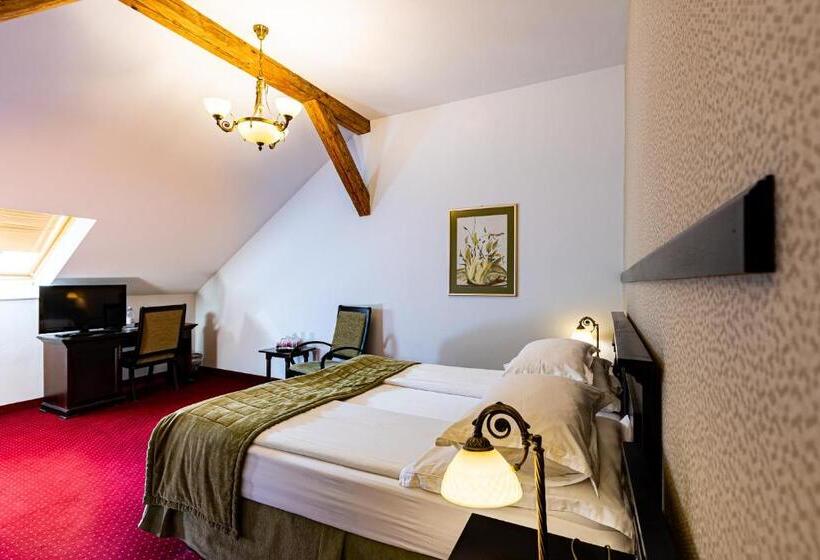 ペントハウスルーム, Central Park Sighisoara