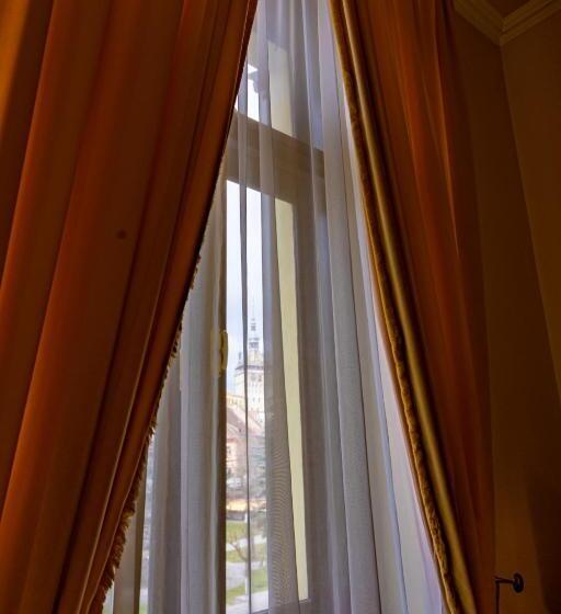 景色の見えるデラックスルーム, Central Park Sighisoara