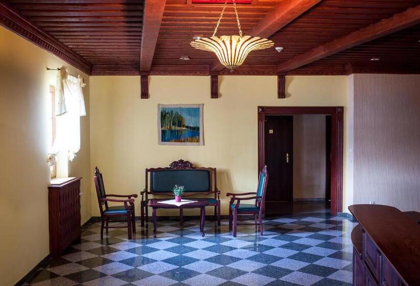 豪华房间, Hetmański